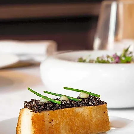 La Cour Des Consuls & - Mgallery Collection Hotel Toulouse